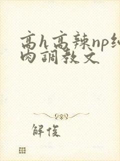 高h高辣np纯肉调教文