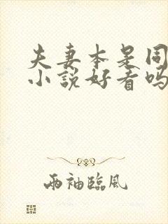 夫妻本是同林鸟小说好看吗