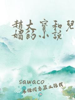 赵大宝和儿媳苏媚的小说