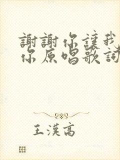 谢谢你让我遇见你原唱歌词