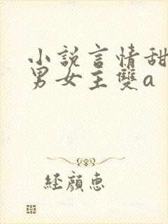 小说言情甜宠文男女主双a