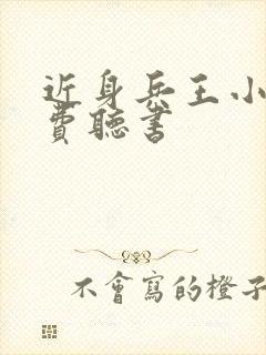 近身兵王小说免费听书