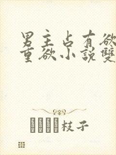 男主占有欲强且重欲小说双男主