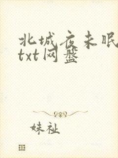 北城夜未眠小说txt网盘