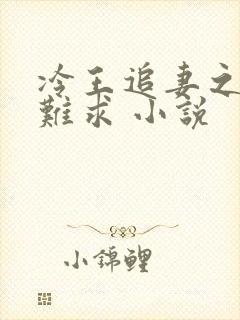 冷王追妻之医妃难求 小说