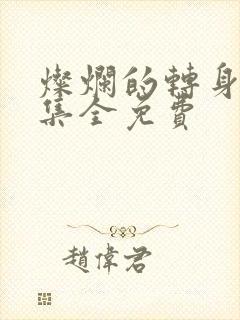 灿烂的转身40集全免费