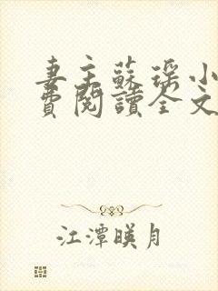 妻主苏瑶小说免费阅读全文