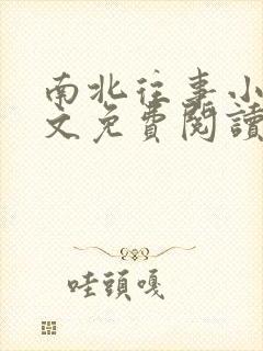 南北往事小说全文免费阅读无弹窗