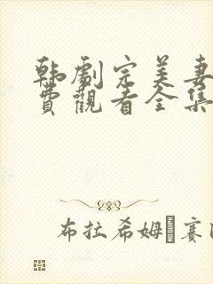 韩剧完美妻子免费观看全集