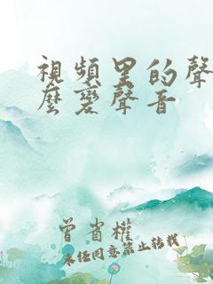 视频里的声音怎么变声音