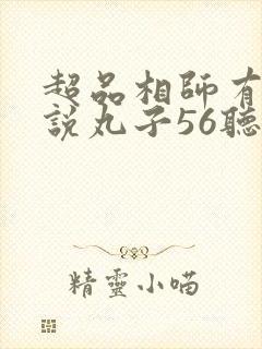 超品相师有声小说丸子56听书网