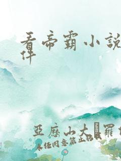 看帝霸小说的软件