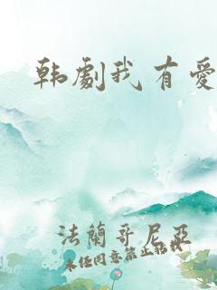 韩剧我有爱人了