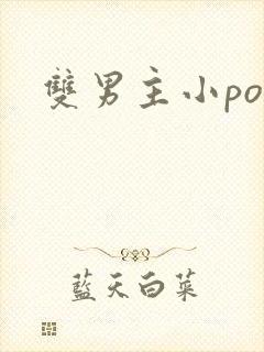 双男主小po文