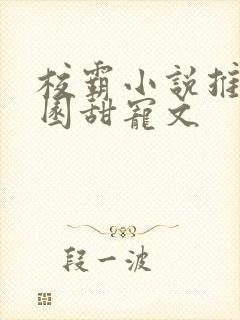 校霸小说推荐校园甜宠文