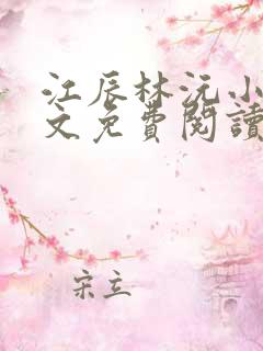 江辰林沅小说全文免费阅读