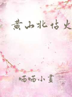 黄山北站火车票