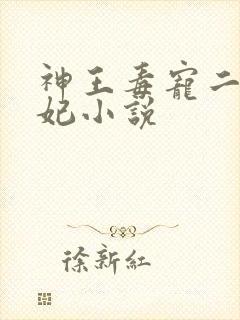 神王毒宠二嫁王妃小说