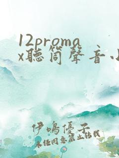 12promax听筒声音小怎么回事