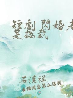 短剧 闪婚老公是总裁