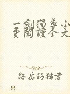 一剑独尊小说免费阅读全文