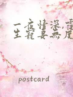 一夜情深,霍先生宠妻无度网络小说