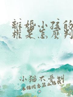 离婚小孩的抚养权是怎么判定的