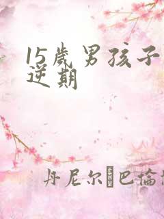 15岁男孩子叛逆期