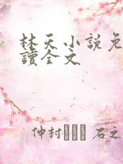 林天小说免费阅读全文