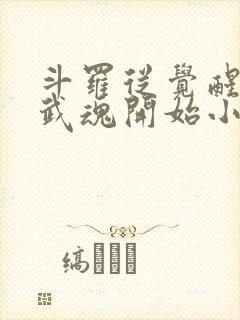 斗罗从觉醒朱雀武魂开始小说