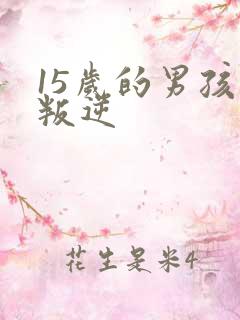 15岁的男孩子叛逆