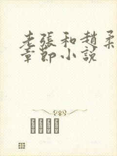 老张和赵柔最新章节小说