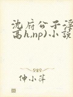 沈府公子淫史(高h,np)小说