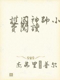 护国神帅小说免费阅读