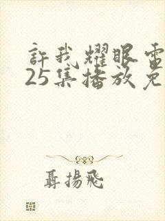 许我耀眼电视剧25集播放免费观看