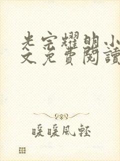 光宗耀明小说全文免费阅读