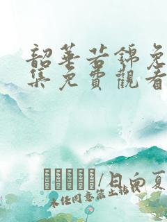 韶华若锦免费全集免费观看