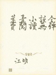 叶青小说全文免费阅读无弹窗