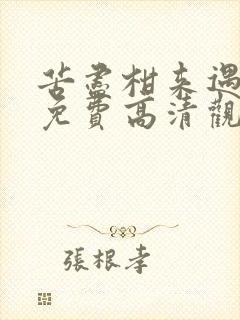 苦尽柑来遇见你免费高清观看