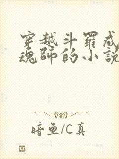 穿越斗罗成为邪魂师的小说