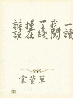 谁摸了我一下小说在线阅读