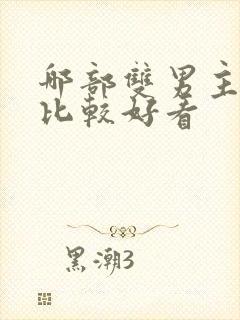 哪部双男主小说比较好看