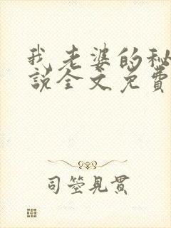 我老婆的秘密小说全文免费阅读