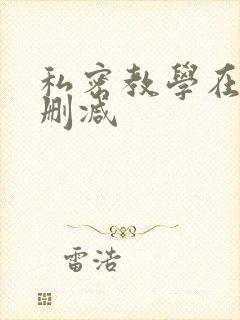 私密教学在线无删减