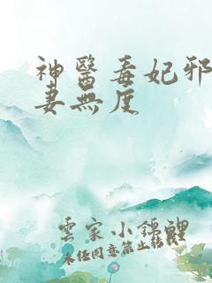 神医毒妃邪王宠妻无度