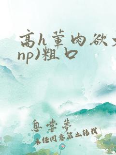 高h荤肉欲文(np)粗口