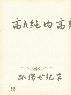 高h纯肉高辣