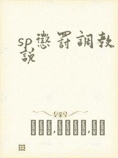 sp惩罚调教小说
