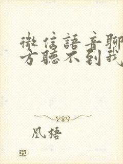 微信语音聊天对方听不到我的声音