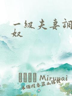 一级夫妻调教男奴